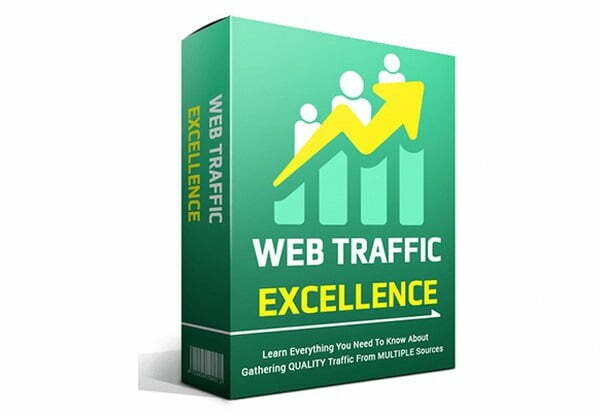 Web Traffic Excellence_600x394